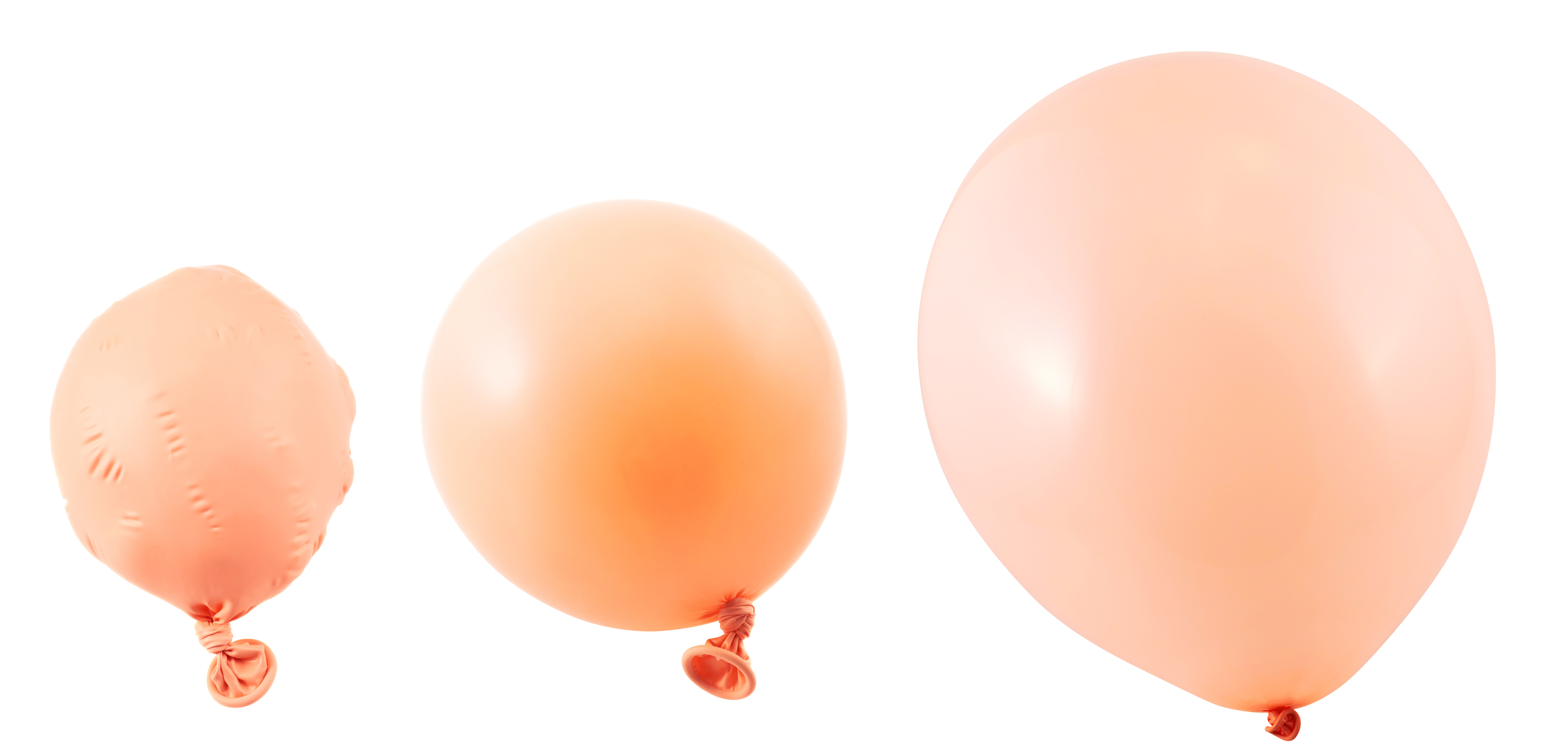 亀頭増大 夢を膨らませて編 西新宿杉江中央クリニック