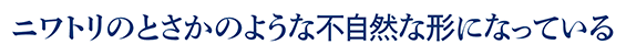ニワトリのとさかのような不自然な形になっている